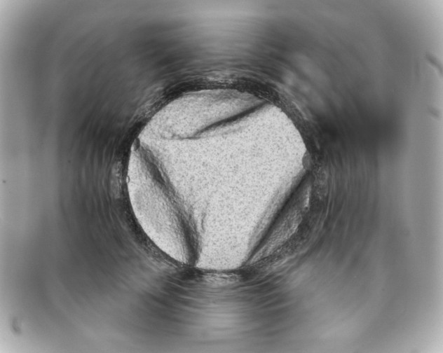 X0000097950707200804211036
