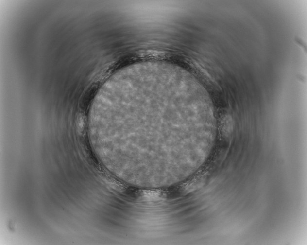 X0000097950709200804211036