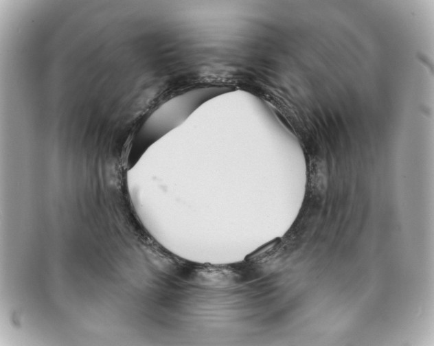 X0000097950712200804211036