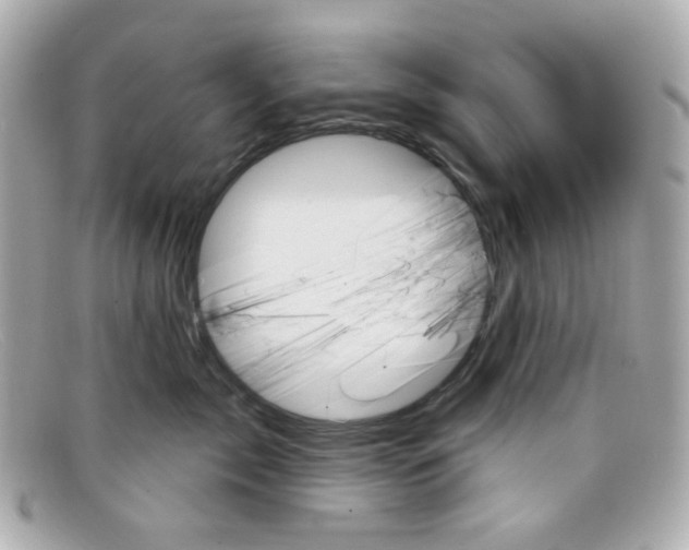 X0000097950717200804211036