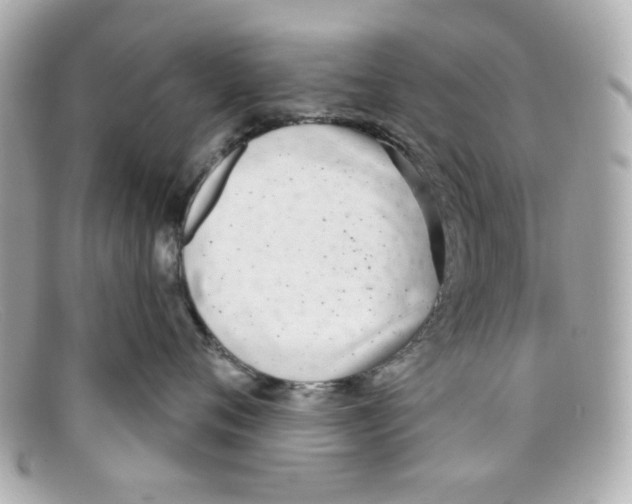 X0000097950720200804211036