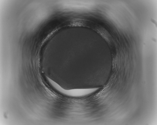 X0000097950722200804211035