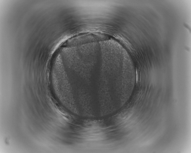 X0000097950723200804211035