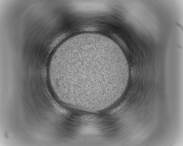 X0000097950725200804211035