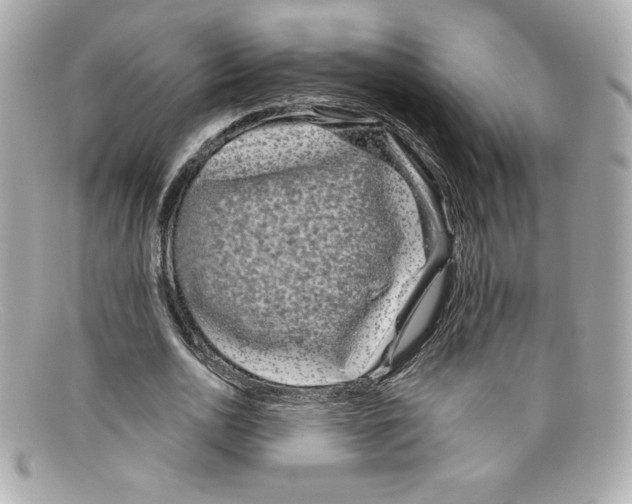 X0000097950726200804211035