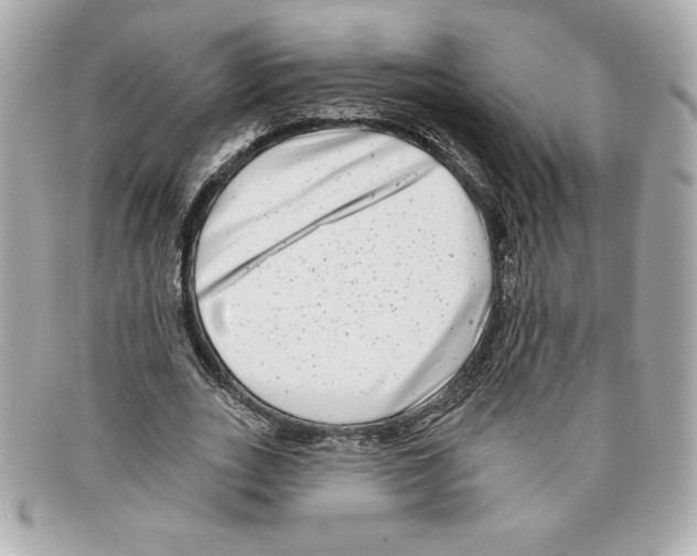 X0000097950727200804211035