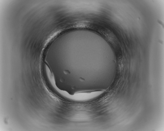 X0000097950728200804211035