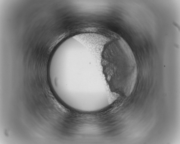 X0000097950729200804211035