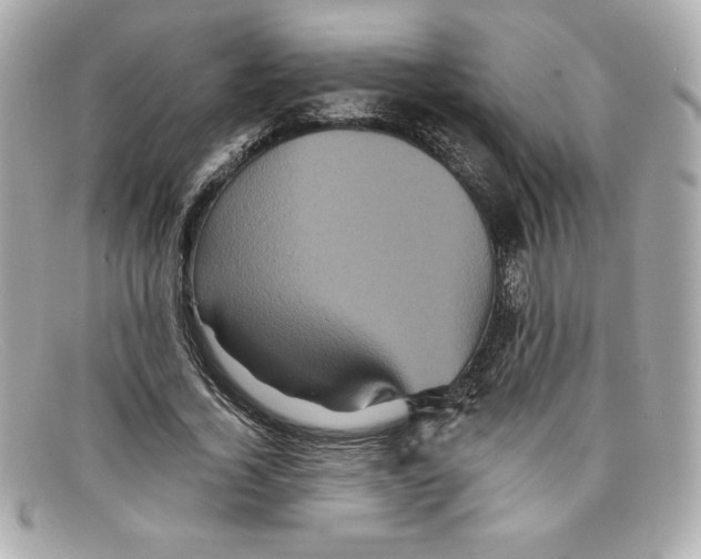 X0000097950732200804211035