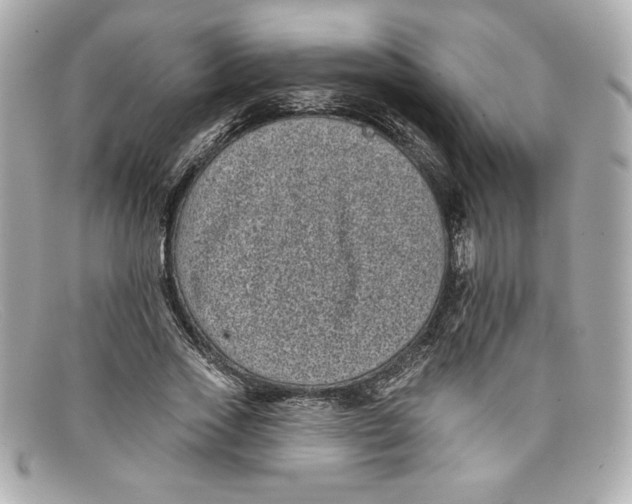 X0000097950733200804211036