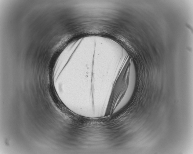 X0000097950734200804211036