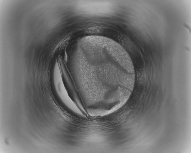 X0000097950735200804211036