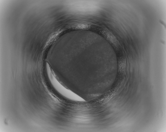 X0000097950736200804211036