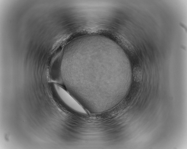 X0000097950740200804211036