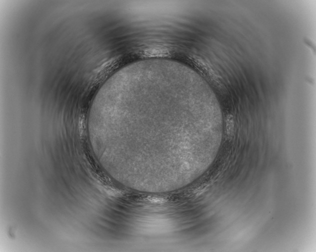 X0000097950741200804211036