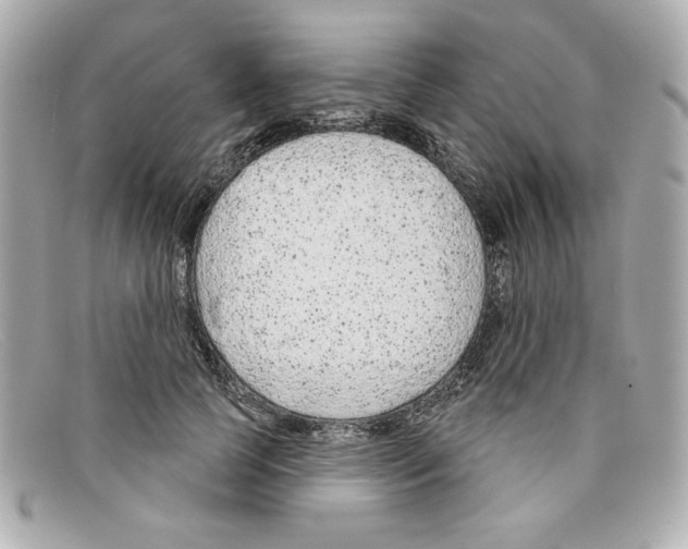 X0000097950745200804211036