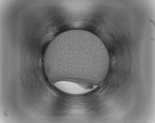 X0000097950746200804211036