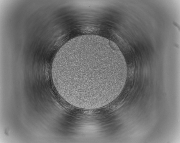 X0000097950749200804211036