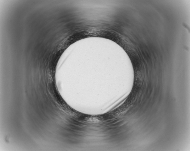 X0000097950751200804211036