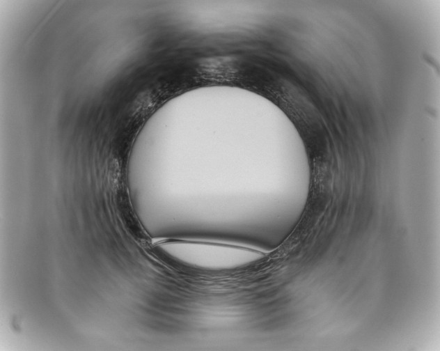 X0000097950752200804211036