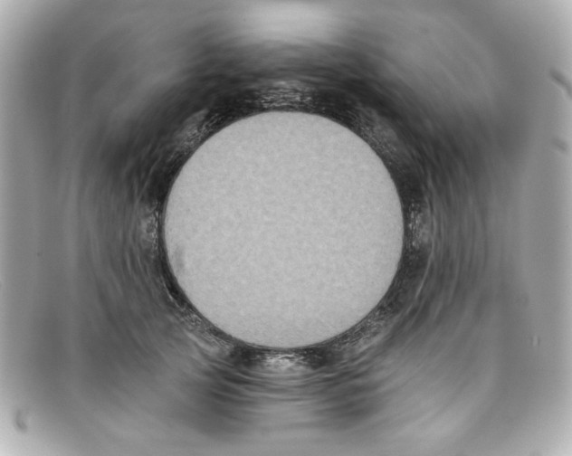X0000097950753200804211036