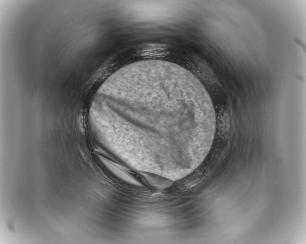 X0000097950755200804211036