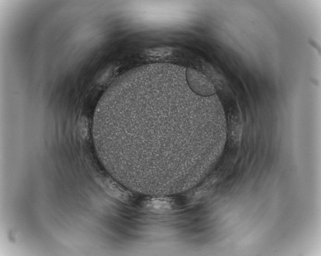 X0000097950758200804211036