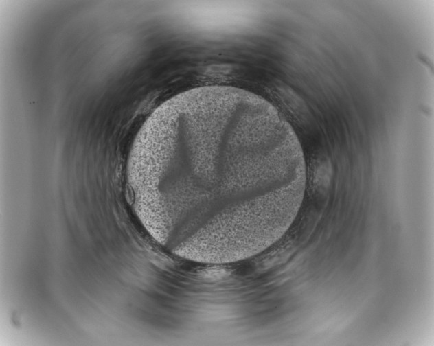 X0000097950759200804211036