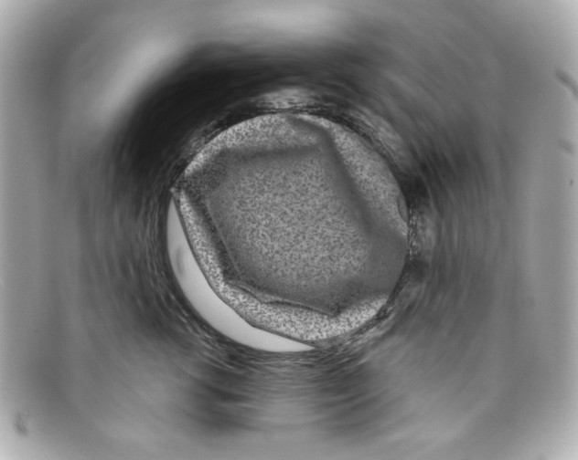 X0000097950762200804211036