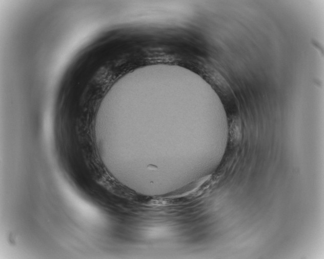 X0000097950764200804211036