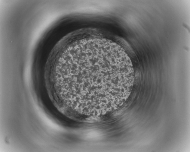 X0000097950765200804211036