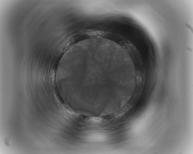 X0000097950767200804211036