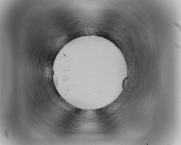 X0000097950768200804211036