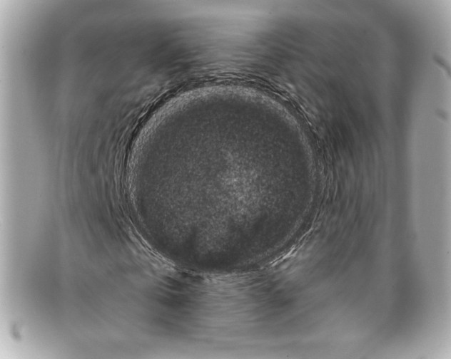 X0000097950769200804211035
