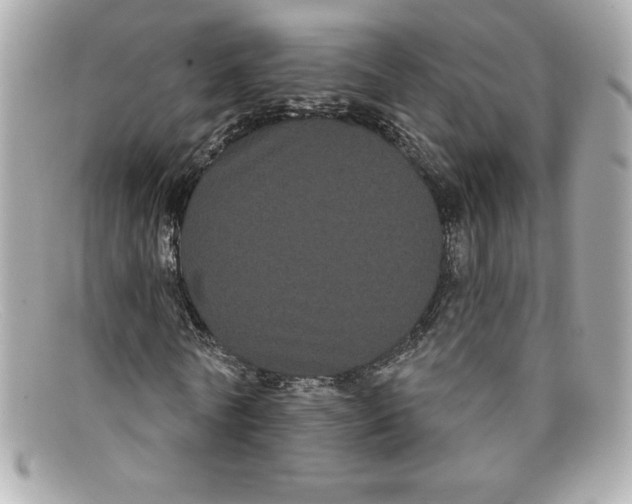 X0000097950770200804211035