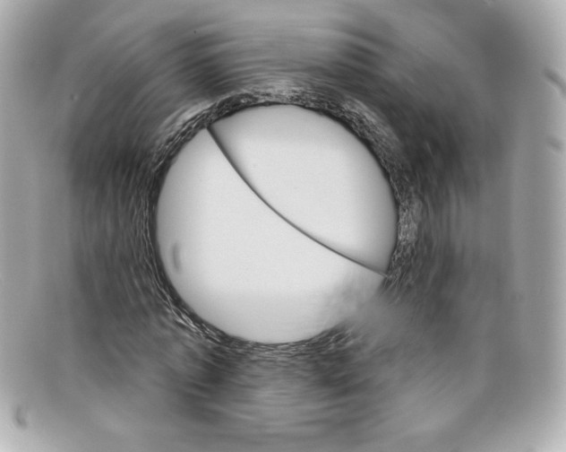 X0000097950773200804211035