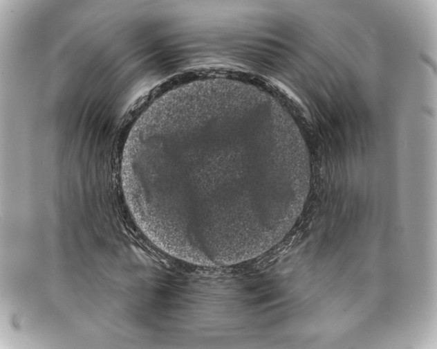 X0000097950775200804211035