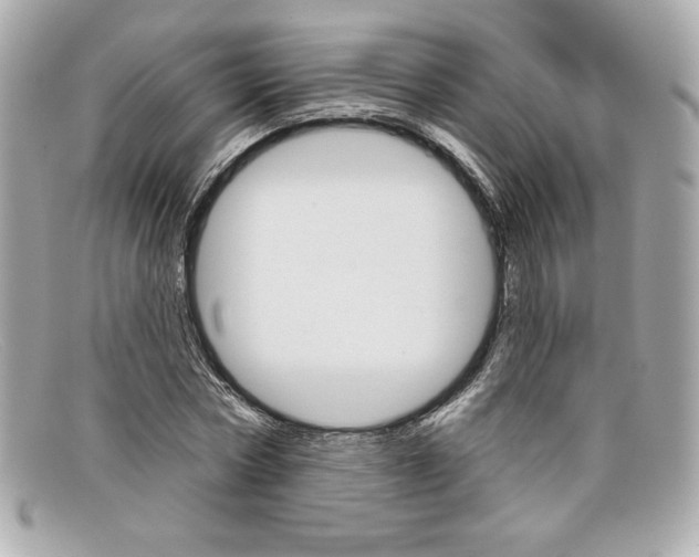 X0000097950778200804211035