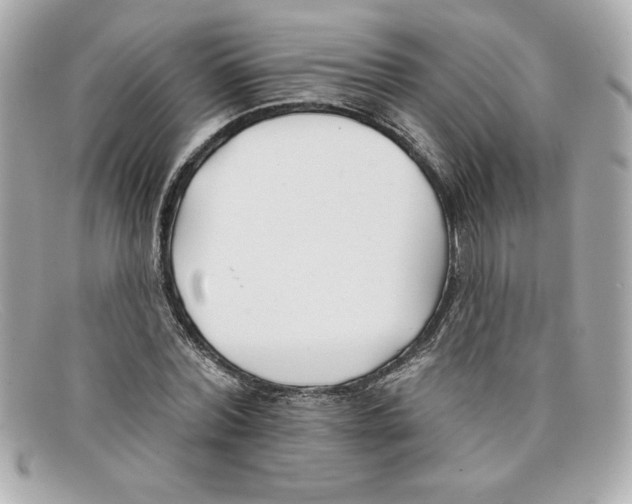 X0000097950780200804211035