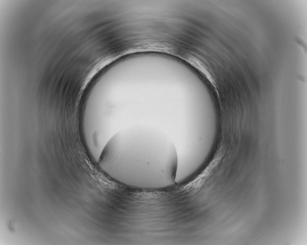 X0000097950781200804211035