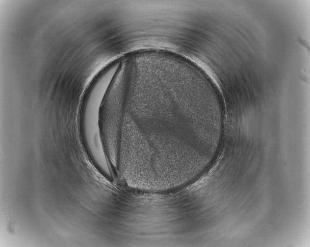 X0000097950783200804211035