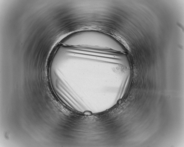 X0000097950784200804211035