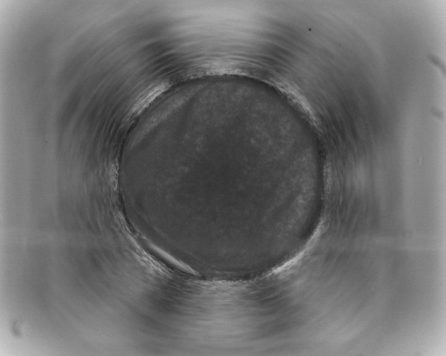 X0000097950785200804211035