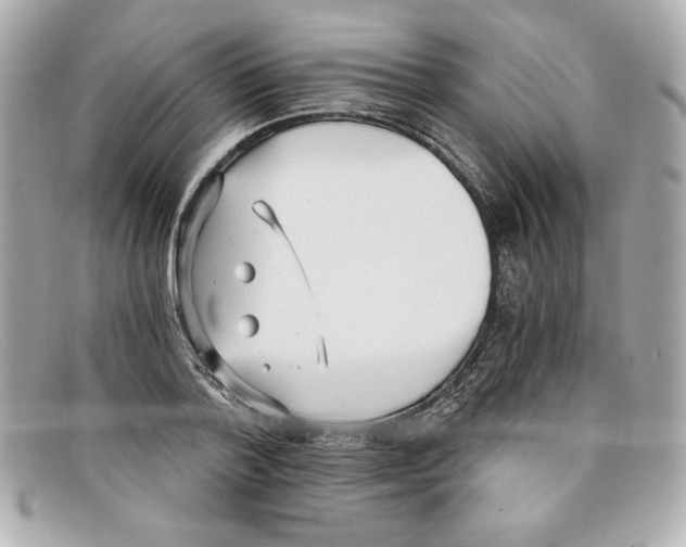 X0000097950788200804211035