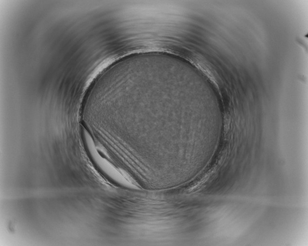 X0000097950789200804211035
