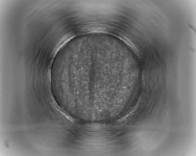 X0000097950790200804211035