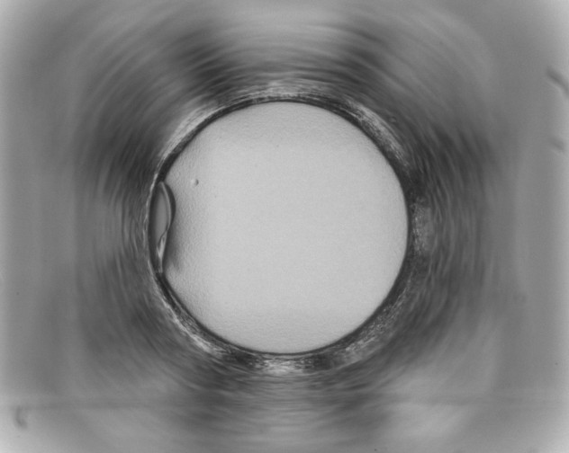 X0000097950794200804211035