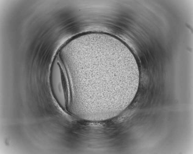 X0000097950799200804211035
