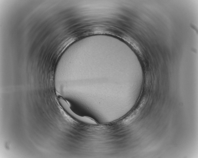 X0000097950801200804211035