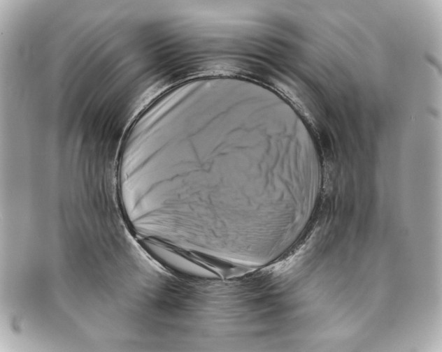 X0000097950802200804211035